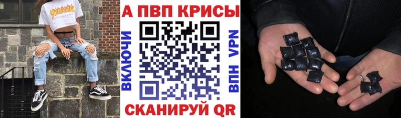 A PVP СК КРИС  Благодарный 