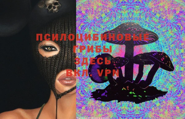 марки nbome Белокуриха