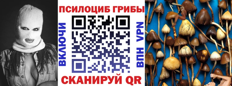 Псилоцибиновые грибы мицелий  blacksprut зеркало  маркетплейс наркотические препараты  Благодарный 